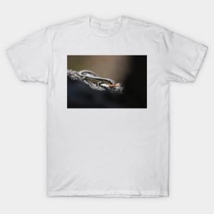 Grand skink - snack time! T-Shirt